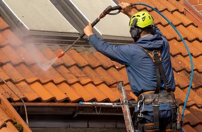 Démoussage et hydrofuge de toiture à Peyrens
